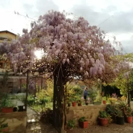Bed & Breakfast Toscana E Terme *