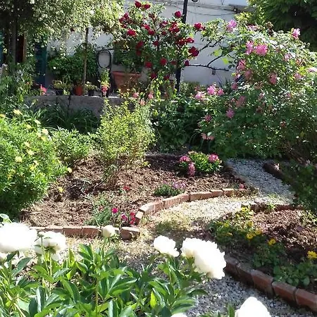Toscana E Terme Bed and breakfast *