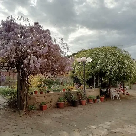 לינה וארוחת בוקר Toscana E Terme